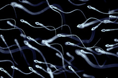 精子视图下显微镜插图的外观精子精子视图下显微镜插图的外观精子