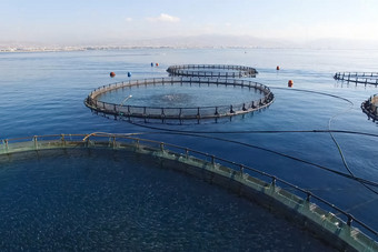 鱼农场的海坚固与轮网鱼农场的海坚固与轮网