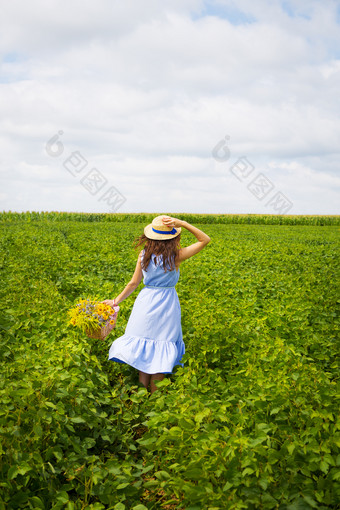 可爱的女孩他站绿色场与花束野生花可爱的女孩他站绿色场与花束野生花