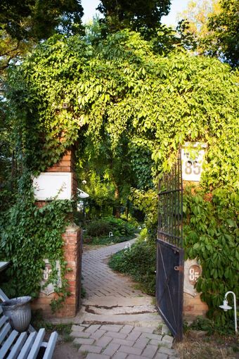 美丽的舒适的院子里美丽的入口的院子里假期夏天海美丽的舒适的院子里美丽的入口的院子里假期夏天海
