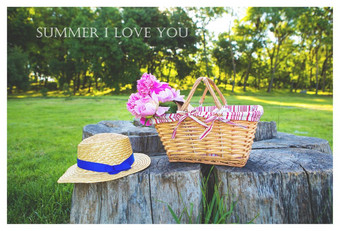 美丽的稻草他和花篮子站木stump-inscription夏天爱你明亮的夏天野餐