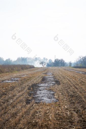 场与烧碎秸农村自然景观麦片收获场与烧碎秸农村自然景观麦片收获