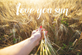 女孩持有手发芽小麦登记爱你太阳女孩持有手发芽小麦登记爱你太阳