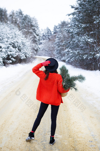 女孩红色的毛衣和他站的中间<strong>雪路</strong>森林与松分支机构周末旅行女孩红色的毛衣和他站的中间<strong>雪路</strong>森林与松分支机构周末旅行