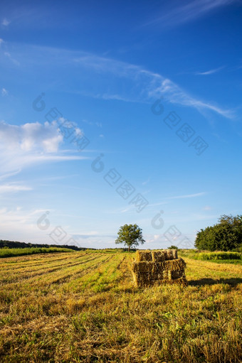 场稻草包的花园农业夏天美丽的云场稻草包的花园农业夏天美丽的云