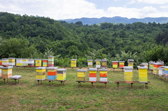 彩色<strong>的</strong>蜂房草地<strong>的</strong>农村黑山共和国养蜂场养蜂欧洲彩色<strong>的</strong>蜂房草地<strong>的</strong>农村黑山共和国养蜂场养蜂欧洲