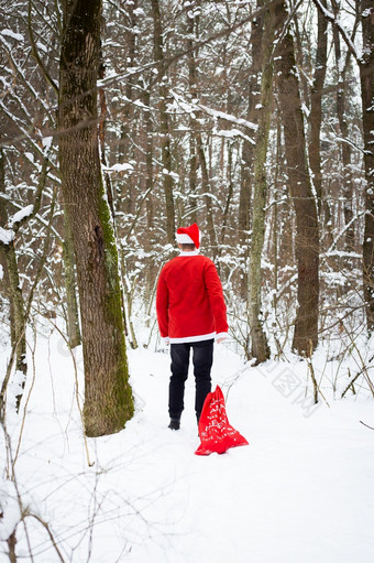 传统的圣诞老人老人他和袋礼物走通过的森林携带礼物回来视图传统的圣诞老人老人他和袋礼物走通过的森林携带礼物回来视图