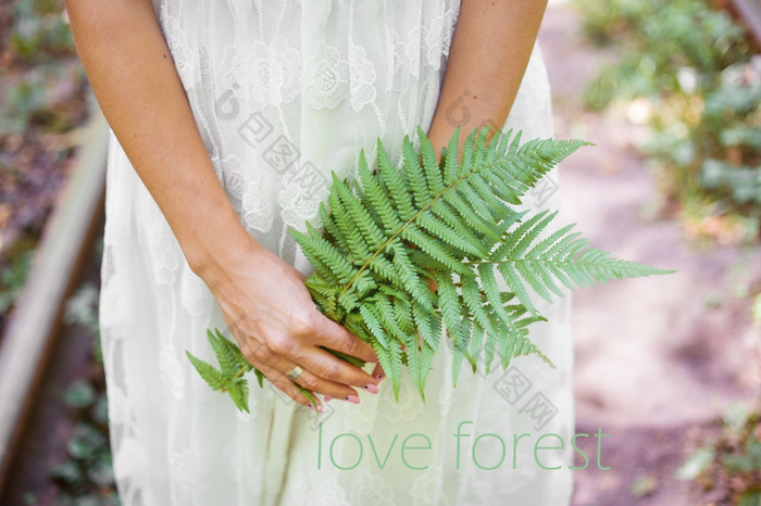 女孩白色衣服持有蕨类植物木登记爱女孩白色衣服持有蕨类植物木登记爱