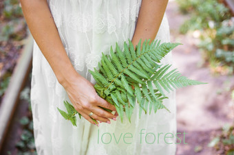 女孩白色衣服持有蕨类植物木登记爱女孩白色衣服持有蕨类植物木登记爱