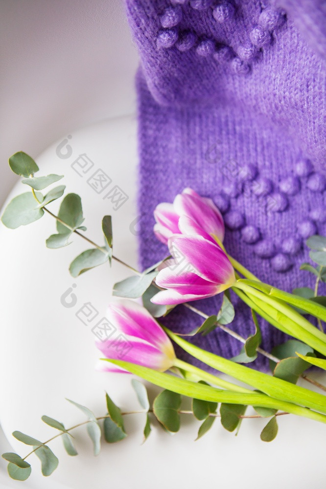 春天美丽的花束紫色的郁金香与桉树白色椅子沿着与紫色的毛衣春天情绪3月明信片为的假期春天美丽的花束紫色的郁金香与桉树白色椅子沿着与紫色的毛衣春天情绪3月明信片为的假期