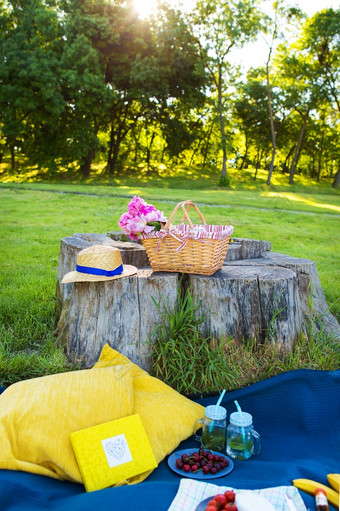 美丽的篮子与花和板与食物<strong>站</strong>木树桩野餐野餐自然