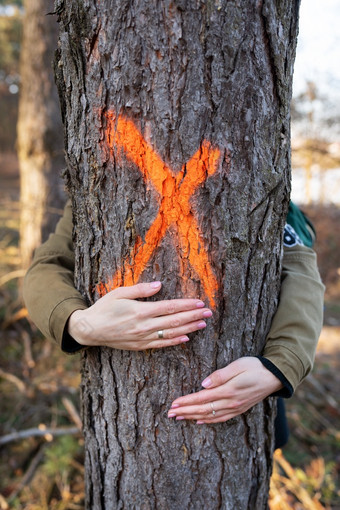 的<strong>女孩</strong>拥<strong>抱</strong>树标志着与橙色马克为感觉森林砍伐概念保存和保存的森林从森林砍伐的<strong>女孩</strong>拥<strong>抱</strong>树标志着与橙色马克为感觉森林砍伐概念保存和保存的森林从森林砍伐