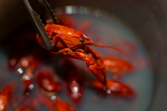 红色的新鲜的开胃的小龙虾是煮熟的平底锅小龙虾为啤酒红色的新鲜的开胃的小龙虾是煮熟的平底锅小龙虾为啤酒