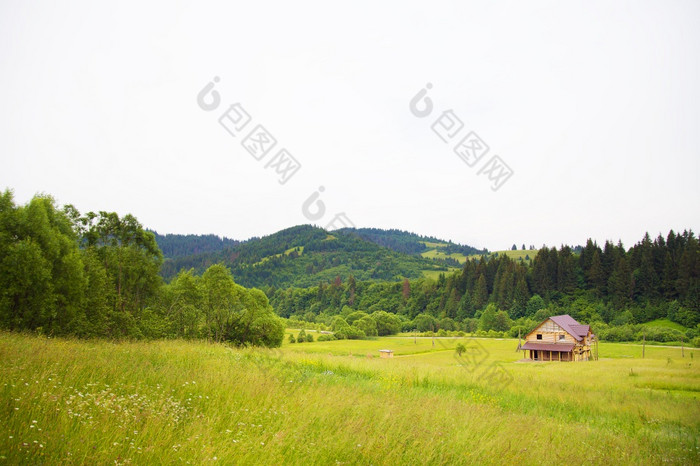 喀尔巴阡山脉的村的山夏天喀尔巴阡山脉的自然夏天