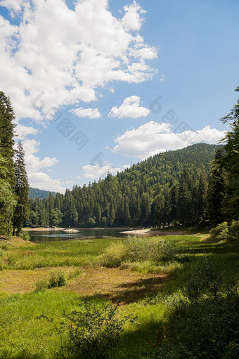 雄伟的山野生森林湖美丽的云的天空雄伟的山野生森林湖