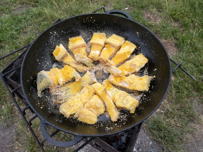 烤派克锅火小脆皮块鱼是炸石油的概念烹饪食物自然浅深度场烤派克锅火小脆皮块鱼是炸石油的概念烹饪食物自然浅深度场