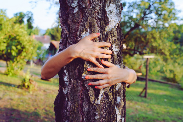 关闭手年轻的女人拥抱拥抱树树干她的后院首页自然拥抱