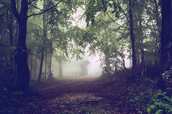 山路路径槽的树<strong>森林</strong>山范围<strong>黑暗</strong>有雾的雾多雨的一天