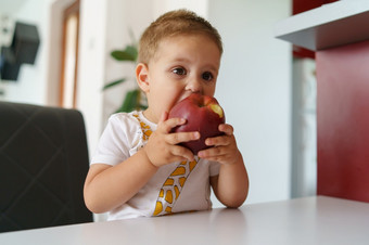 前面视图一个高加索人男孩持有<strong>水果</strong>口小孩子两个年老坐着的表格<strong>首页</strong>吃苹果童年日益增长的健康的吃概念