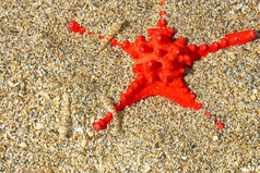 美丽的红色的海星波浪浅水