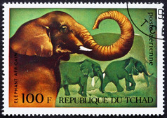 乍得约邮票印刷的乍得显示非洲大象非洲野生动物约