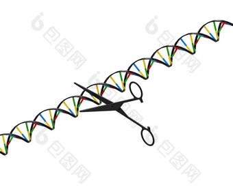 剪刀切割太太海滩遗传工程渲染孤立的白色