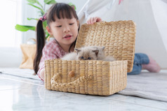 小女孩玩与猫的木篮子首页友谊概念