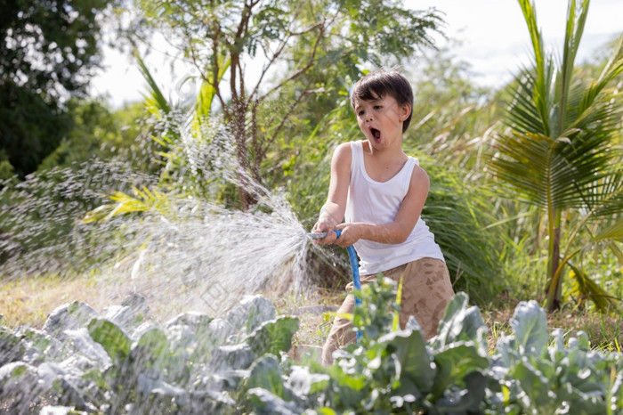 小点男孩在乎为植物浇水绿色蔬菜从浇水橡胶软管日落农业后院园艺概念简单的生活