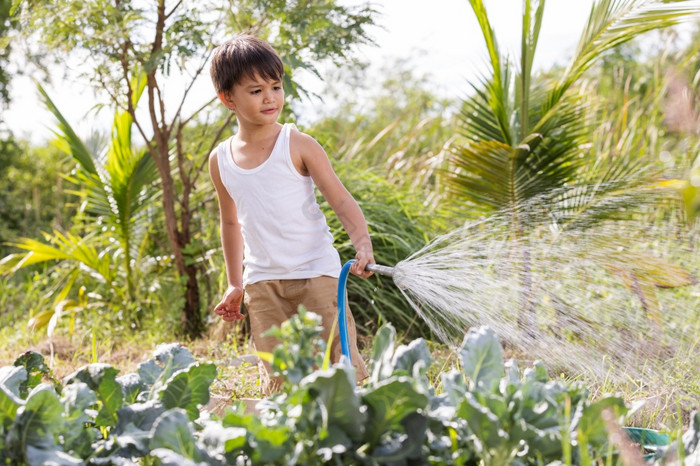 小点男孩在乎为植物浇水蔬菜从浇水橡胶软管图片
