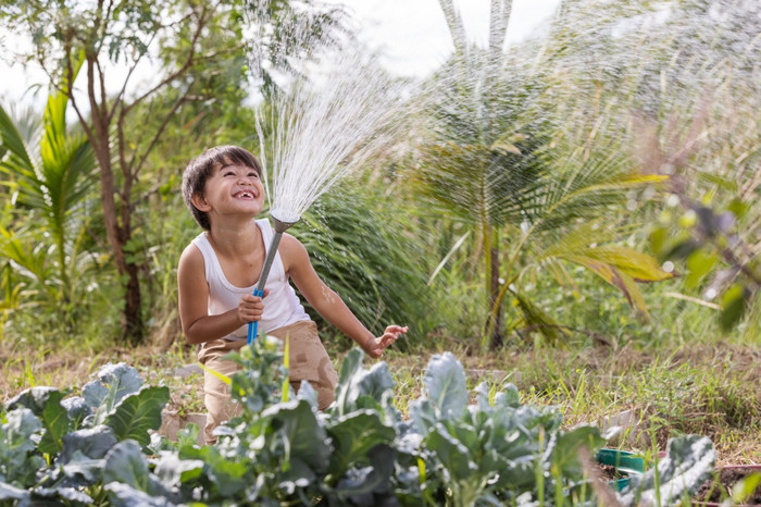 小点男孩在乎为植物浇水蔬菜从浇水橡胶图片