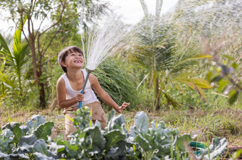 小点男孩在乎为植物浇水绿色蔬菜从浇水橡胶软管日落农业后院<strong>园艺</strong>概念简单的生活