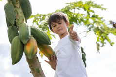 小男孩选择木瓜后院健康和健康