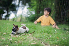 肖像快乐小男孩玩与他的可爱的小狗这蹒跚学步的快乐玩的公园与他的最喜欢的动物