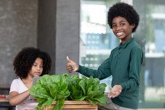 非洲式发型孩子们卷曲的头发显示新鲜的蔬菜有机沙拉木盒子后收获从温室