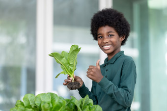 黑色的卷曲的头发的非洲男孩显示从<strong>新</strong>鲜的沙拉收获从他的花园选择的最好的质量为客户开始点做业务为的<strong>新一代</strong>