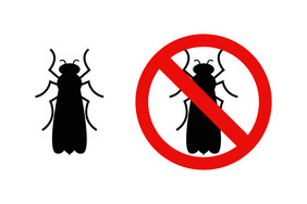 长翅膀的昆虫和标志禁止平长翅膀的昆虫和标