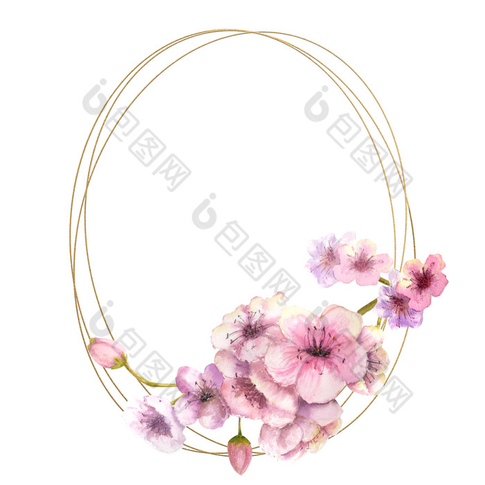 樱桃开花樱花分支与粉红色的花黄金框架和孤立的白色背景图像春天框架水彩插图樱桃开花樱花分支与粉红色的花黄金框架和孤立的白色背景图像春天框架水彩插图设计元素