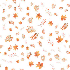 无缝的秋天叶子背景浆果白色孤立的背景水彩插图无缝的秋天叶子背景浆果白色孤立的背景水彩插图