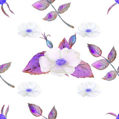 无缝的模式花和水果玫瑰臀部水彩花插图波西米亚花束花花环婚礼作文周年纪念日生日邀请问候卡片无缝的模式花和水果玫瑰臀部水彩花插图波西米亚花束花花环婚礼作文周年纪念日生日邀请问候卡片
