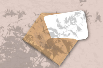 信封与表白色变形纸柔和的粉红色的墙背景模型与覆盖植物阴影自然光数据类型转换阴影从的上衣场植物和花信封与表白色变形纸柔和的粉红色的墙背景模型与覆盖植物阴影自然光数据类型转换阴影从的上衣场植物和花
