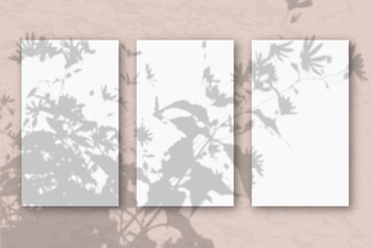 垂直表白色变形纸柔和的粉红色的墙背景模型与覆盖植物阴影自然光数据类型转换影子从的前的场植物和花垂直表白色变形纸柔和的粉红色的墙背景模型与覆盖植物阴影自然光数据类型转换影子从的前的场植物和花