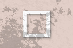 的广场框架柔和的粉红色的墙背景模型覆盖与的植物阴影自然光数据类型转换阴影从的上衣场植物和花平躺前视图的广场框架柔和的粉红色的墙背景模型覆盖与的植物阴影自然光数据类型转换阴影从的上衣场植物和花平躺前视图