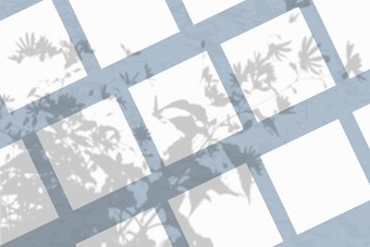 许多广场表白色变形纸对蓝色的墙模型与覆盖植物阴影自然光数据类型<strong>转换</strong>阴影从的上衣场植物和花平躺前视图许多广场表白色变形纸对蓝色的墙模型与覆盖植物阴影自然光数据类型<strong>转换</strong>阴影从的上衣场植物和花平躺前视图