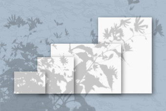 几个水平和垂直表白色变形纸对蓝色的墙模型覆盖与的植物阴影自然光数据类型<strong>转换</strong>阴影从的上衣场植物和花几个水平和垂直表白色变形纸对蓝色的墙模型覆盖与的植物阴影自然光数据类型<strong>转换</strong>阴影从的上衣场植物和花
