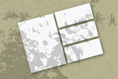 几个水平和垂直表白色变形纸对橄榄墙模型覆盖与的植物阴影自然光数据类型转换阴影从的上衣场植物和花几个水平和垂直表白色变形纸对橄榄墙模型覆盖与的植物阴影自然光数据类型转换阴影从的上衣场植物和花