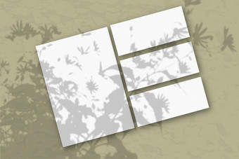 几个水平和垂直<strong>表白</strong>色变形纸对橄榄墙模型覆盖与的植物阴影自然光数据类型转换阴影从的上衣场植物和花几个水平和垂直<strong>表白</strong>色变形纸对橄榄墙模型覆盖与的植物阴影自然光数据类型转换阴影从的上衣场植物和花