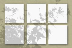 广场表白色变形纸对橄榄墙模型覆盖与的植物阴影自然光数据类型转换阴影从的上衣场植物和花平躺前视图广场表白色变形纸对橄榄墙模型覆盖与的植物阴影自然光数据类型转换阴影从的上衣场植物和花平躺前视图