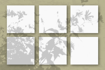 广场<strong>表白</strong>色变形纸对橄榄墙模型覆盖与的植物阴影自然光数据类型转换阴影从的上衣场植物和花平躺前视图广场<strong>表白</strong>色变形纸对橄榄墙模型覆盖与的植物阴影自然光数据类型转换阴影从的上衣场植物和花平躺前视图