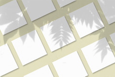 几个广场表白色变形纸对黄色的墙背景模型与覆盖植物阴影自然光数据类型转换阴影从异国情调的植物水平取向几个广场表白色变形纸对黄色的墙背景自然光数据类型转换阴影从异国情调的植物平躺前视图