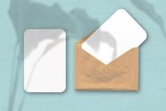 信封与两个表变形白色纸蓝色的表格背景模型与覆盖植物阴影自然光数据类型转换阴影从热带植物水平取向信封与两个表变形白色纸蓝色的表格背景模型与覆盖植物阴影自然光数据类型转换阴影从热带植物